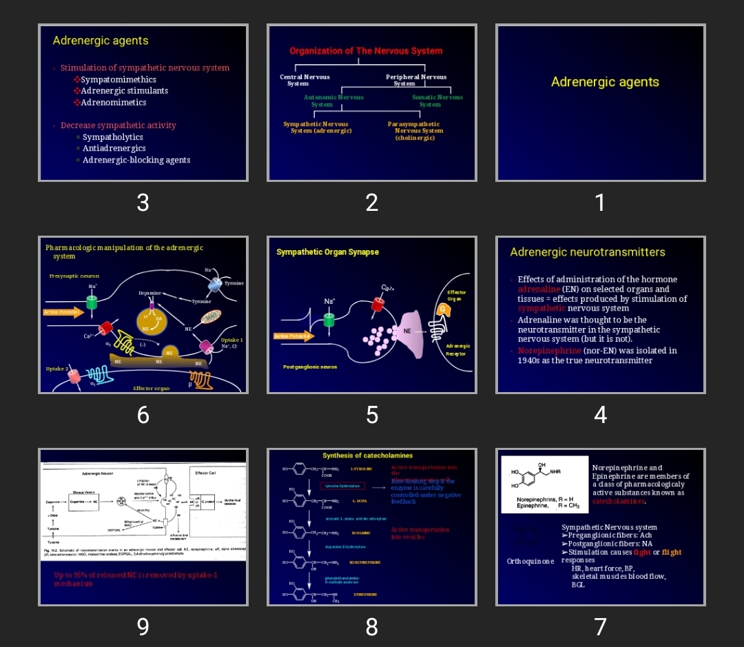 پاورپوینت Adrenergic agents
