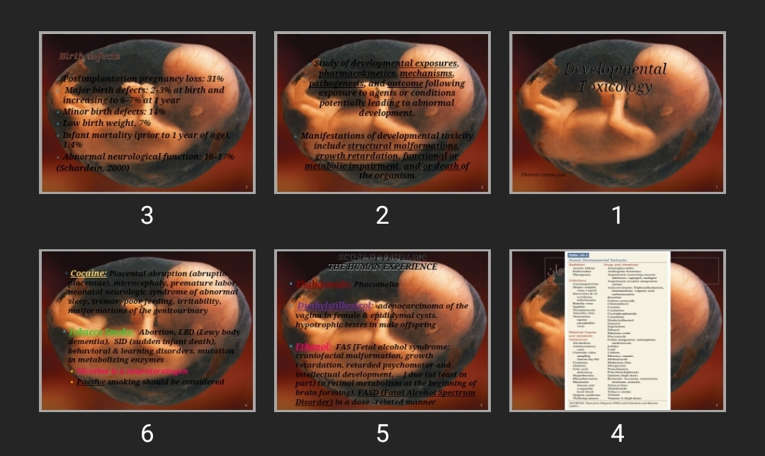 پاورپوینت Developmental Toxicology