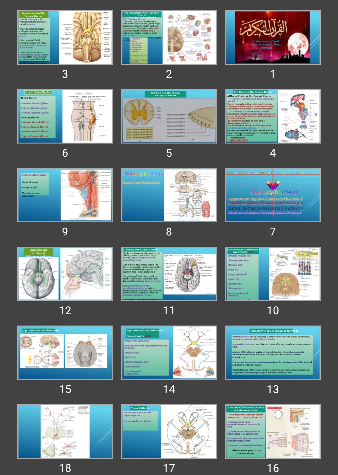 پاورپوینت The Cranial Nerve Nuclei and Their Central