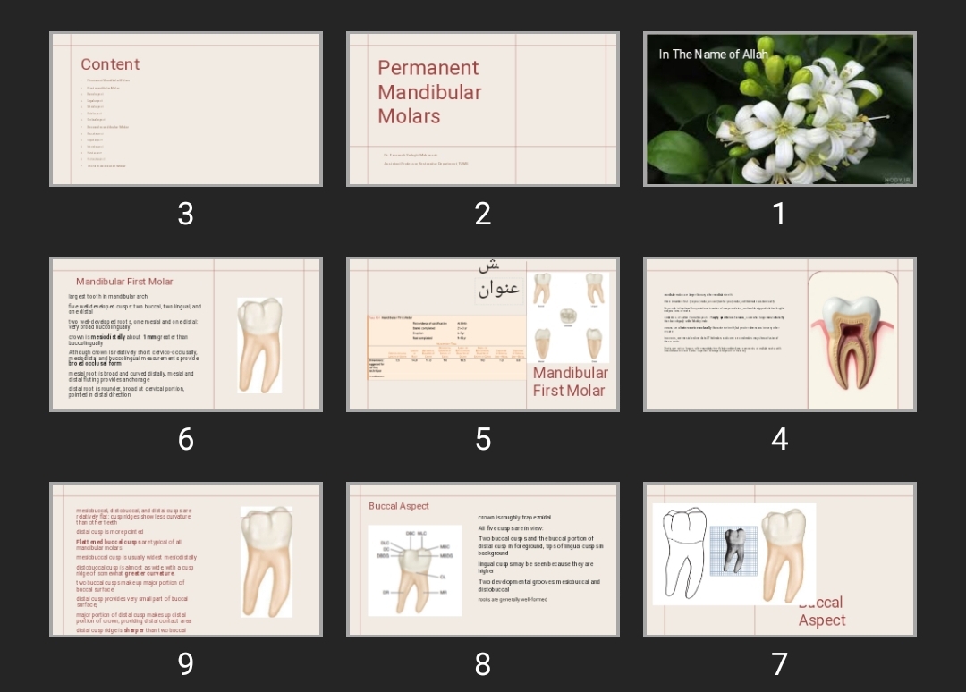 پاورپوینت Permanent Mandibular Molars
