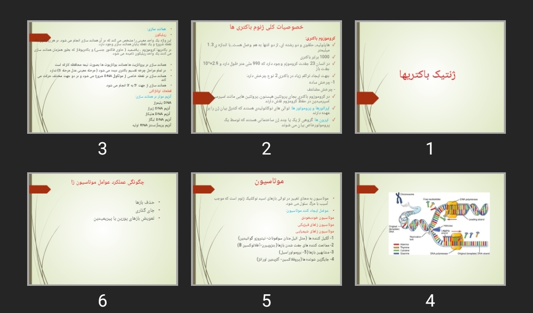 پاورپوینت ژنتیک باکتری‌ها