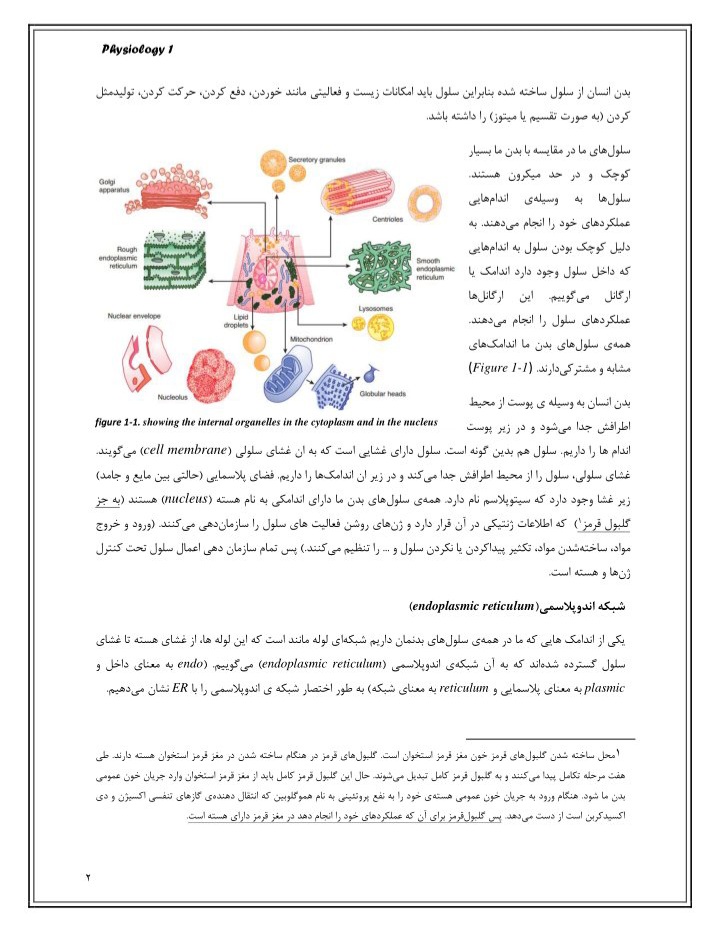 کاملترین جزوه فیزیولوژی ۱ + بهمراه نمونه سوالات اصلی و پایان ترم کامل و دقیق - ۱۹۲ صفحه