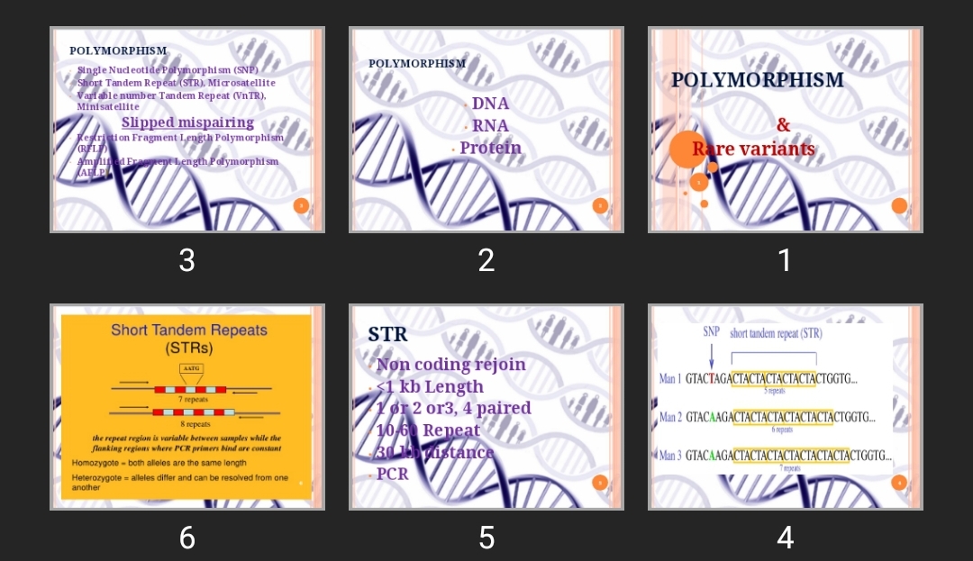 پاورپوینت POLYMORPHISM