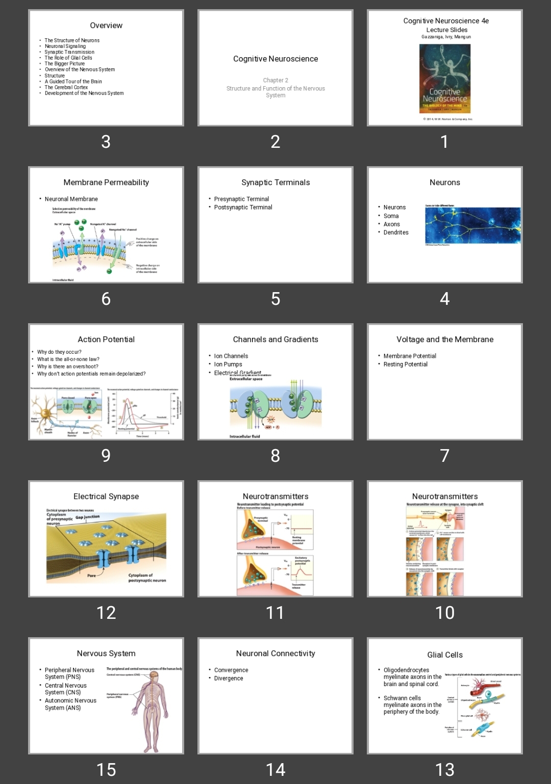 پاورپوینت Cognitive Neuroscience 4e Lecture Slides