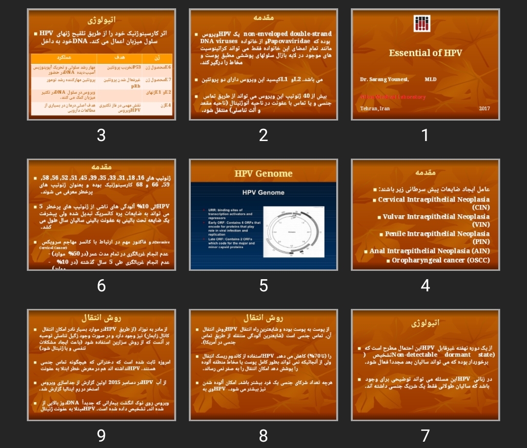 پاورپوینت Essential of HPV