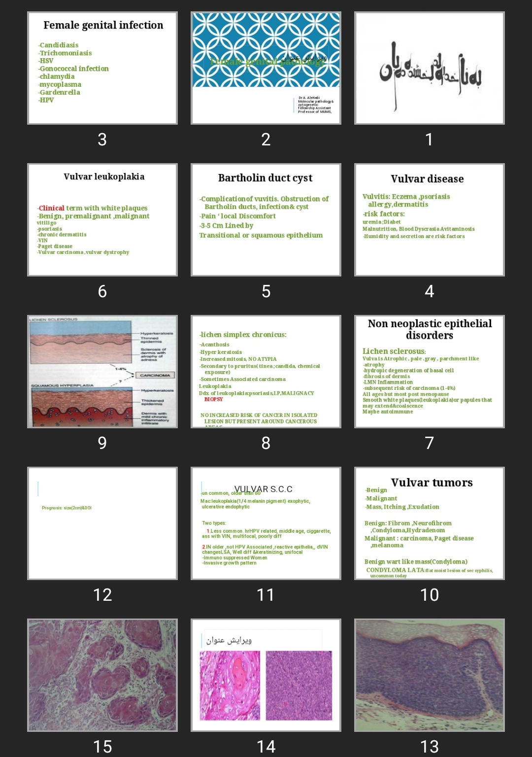 پاورپوینت Female genital pathology
