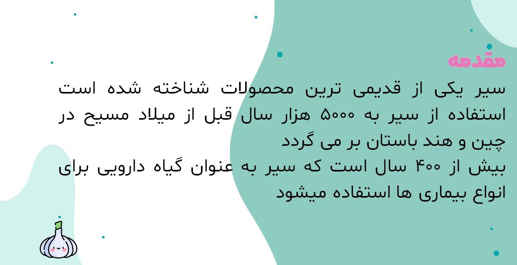 پاورپوینت آشنایی با گیاه سیر 34 اسلاید اتوماتیک با افکت
