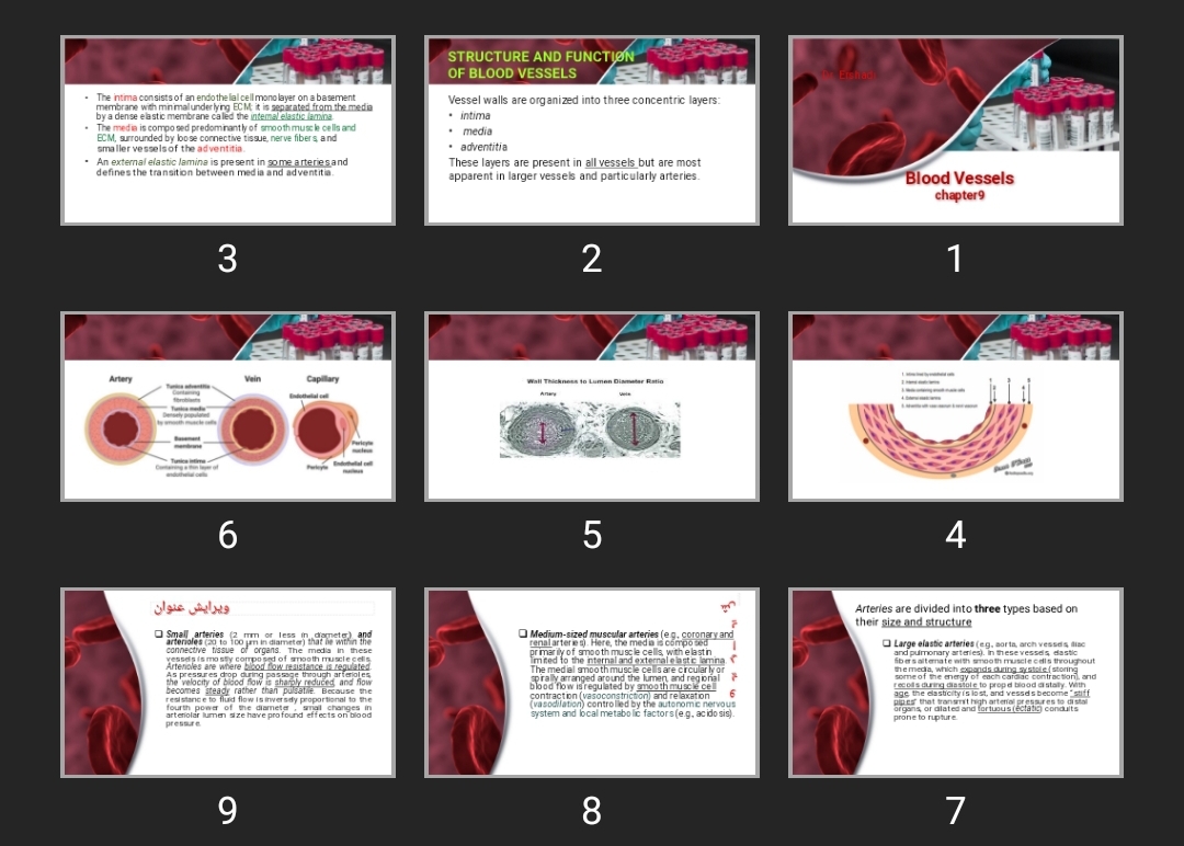پاورپوینت Blood Vessels