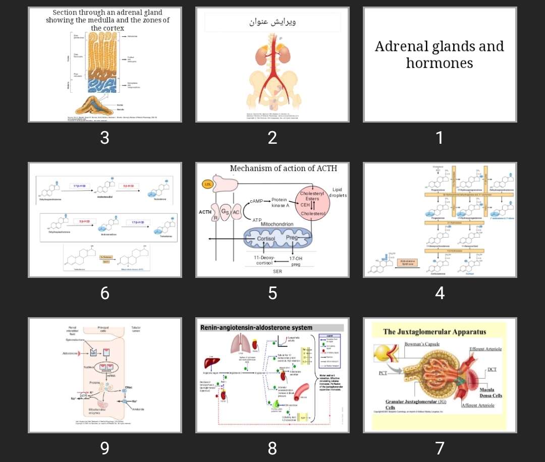 پاورپوینت Adrenal glands and hormones