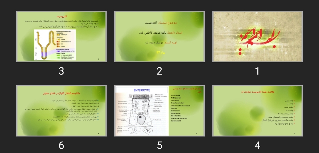 پاورپوینت انتروسیت