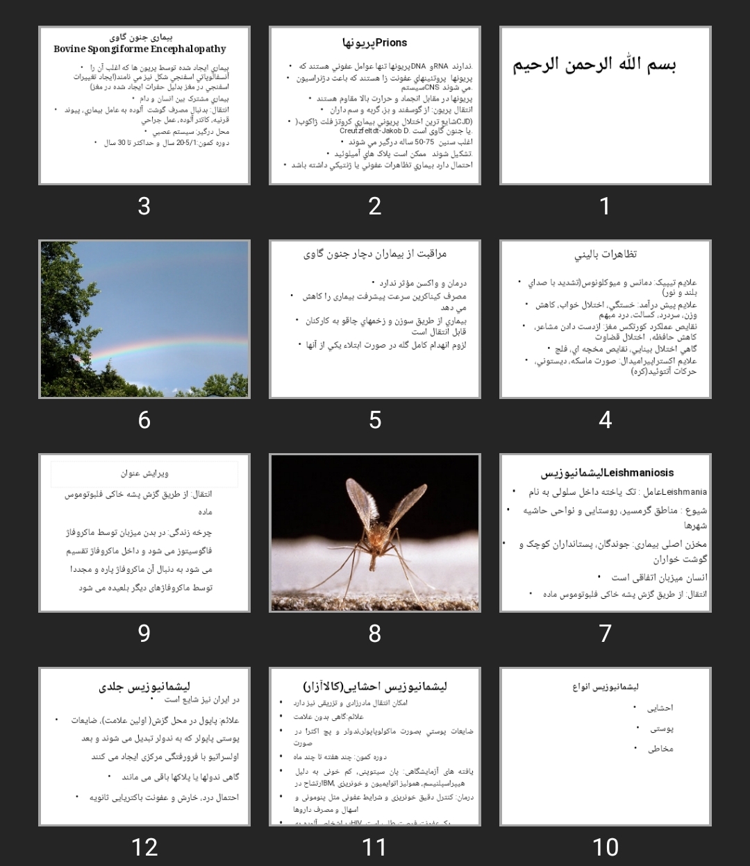 پاورپوینت Infection 4