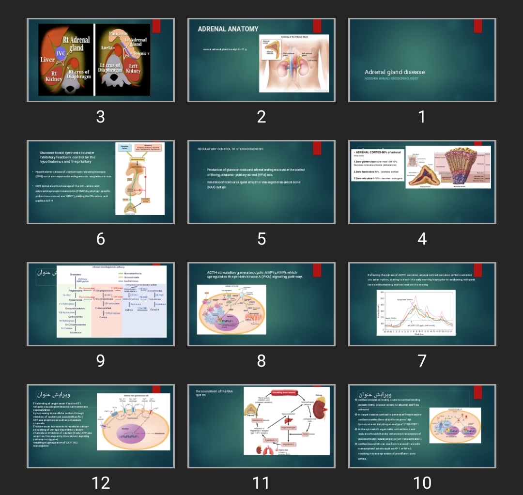 پاورپوینت Adrenal gland disease