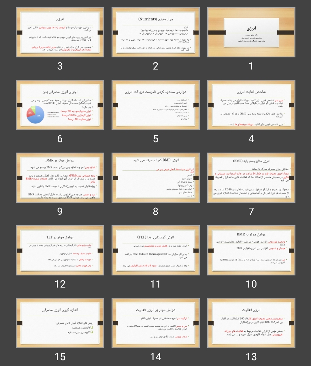 پاورپوینت اصول تغذیه (انرژی)