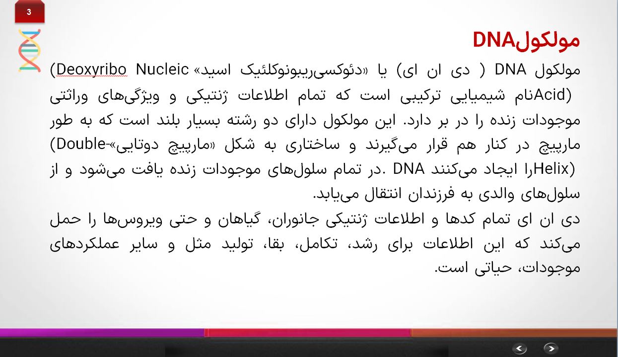 دانلود پاورپوینت DNA در 10 اسلاید خودکار