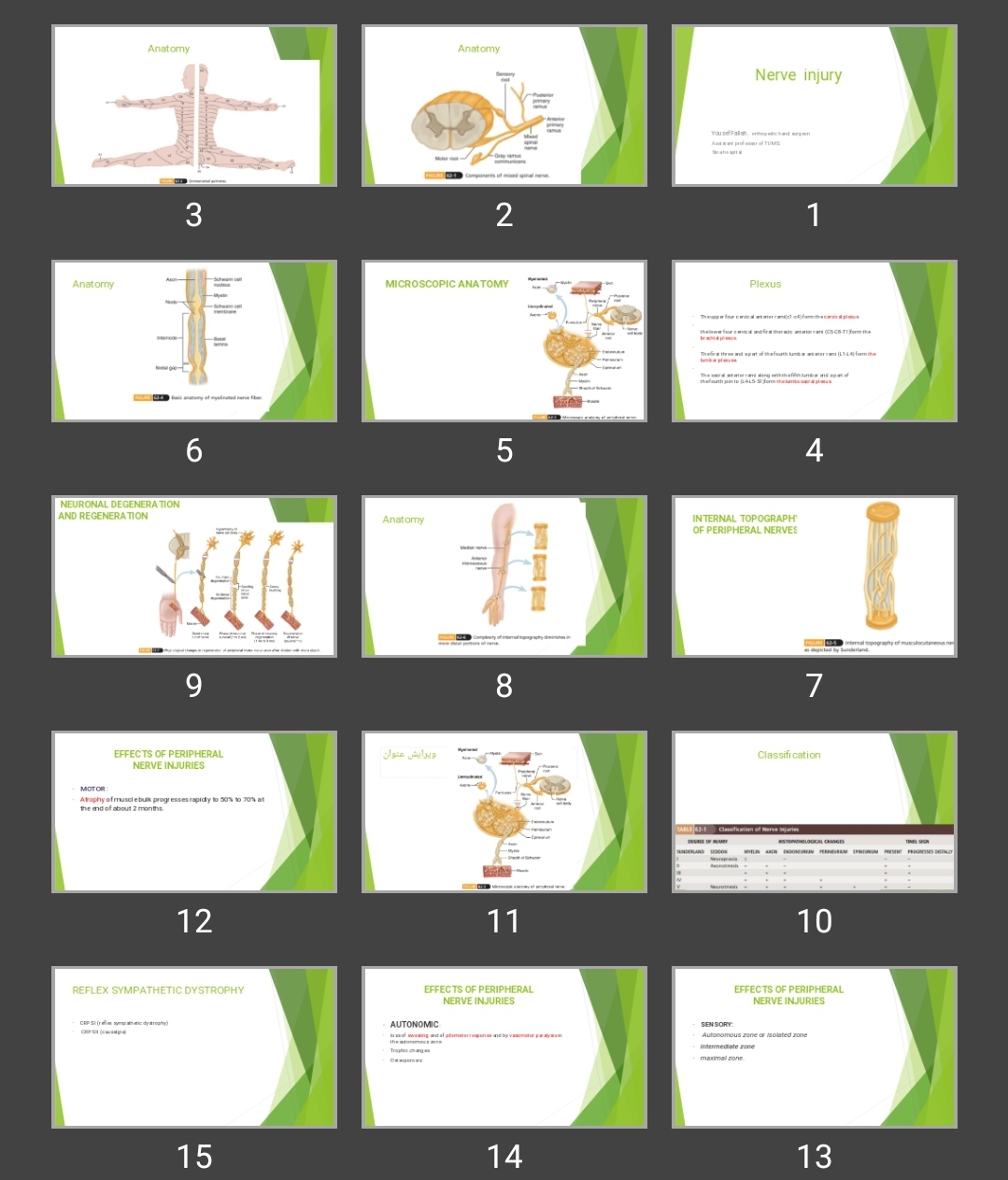 پاورپوینت آسیب عصبی Nerve injury