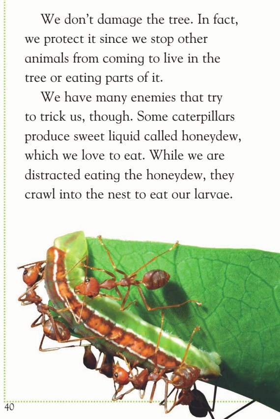 دانلود کتاب انگیسی مورچه های عجیب