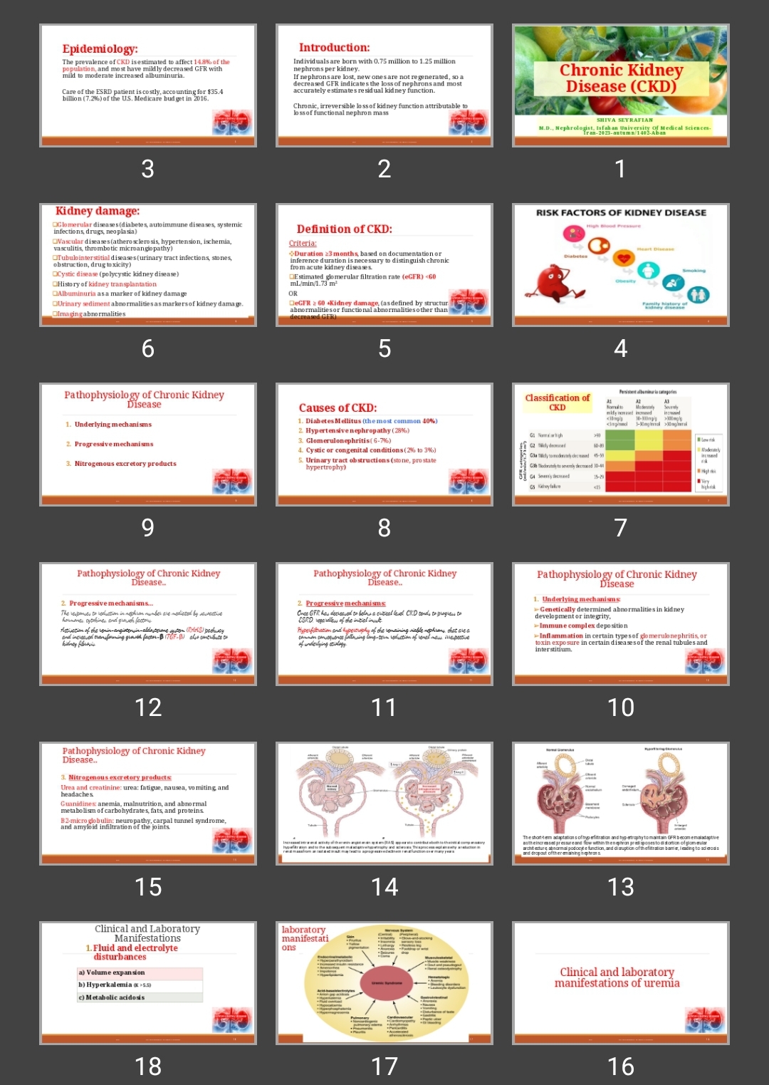 پاورپوینت Chronic Kidney Disease (CKD)