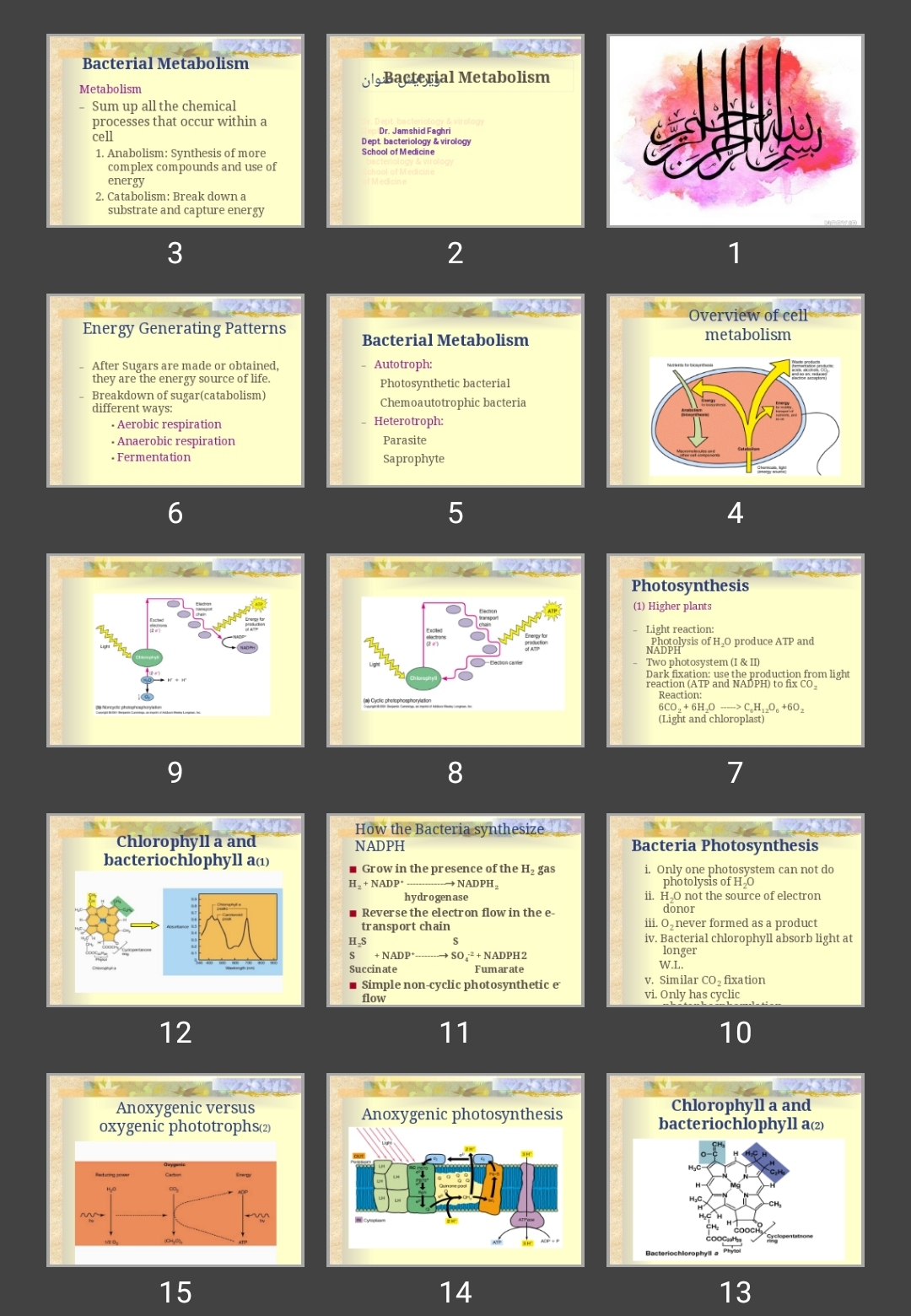 پاورپوینت متابوليسم باکتری Bacterial Metabolism