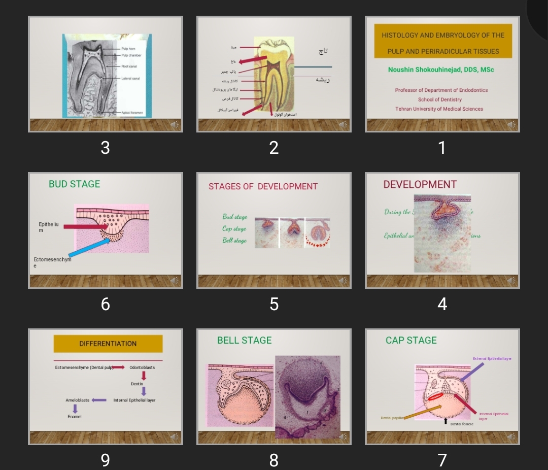 پاورپوینت Histology and embryology of the Pulp and periradicular tissues