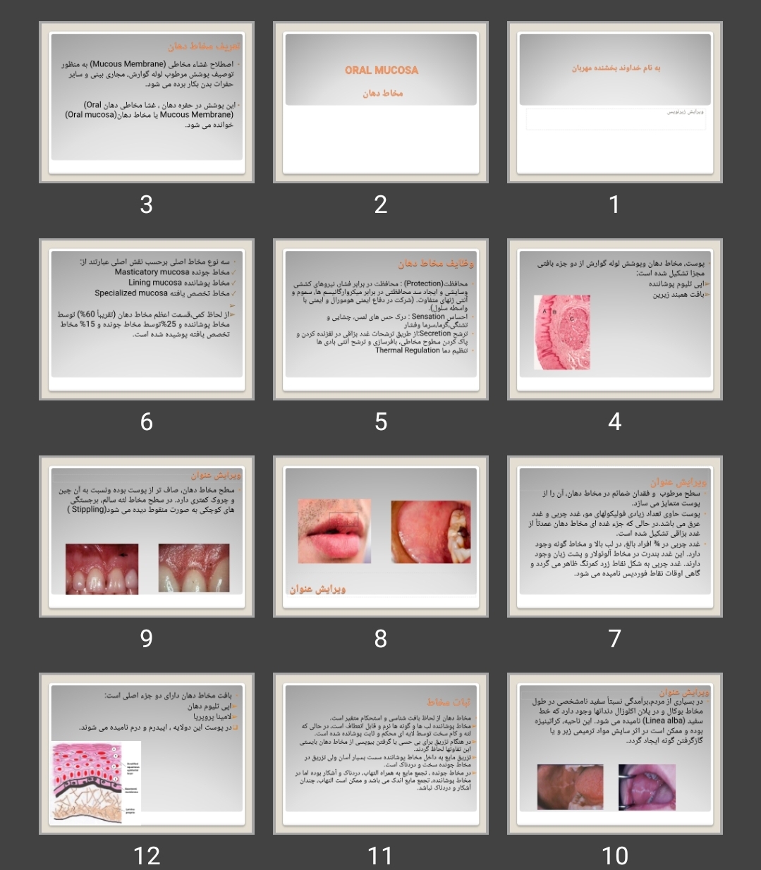 پاورپوینت مخاط دهان