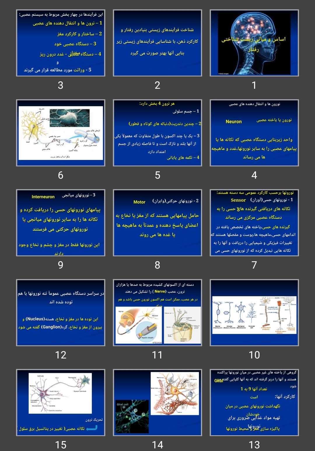 پاورپوینت اساس و مبانی زیست شناختی رفتار