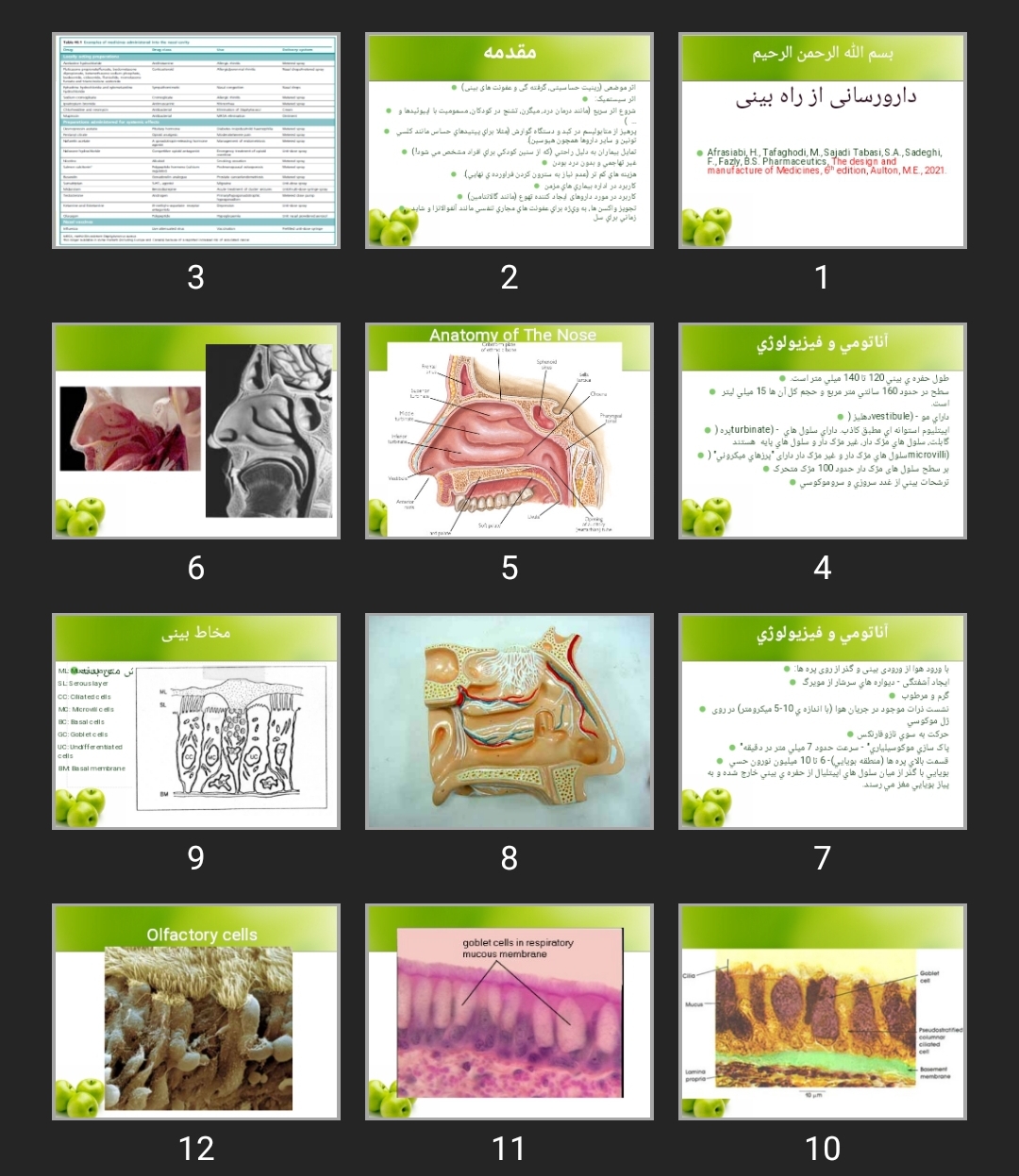 پاورپوینت دارورسانی از راه بینی