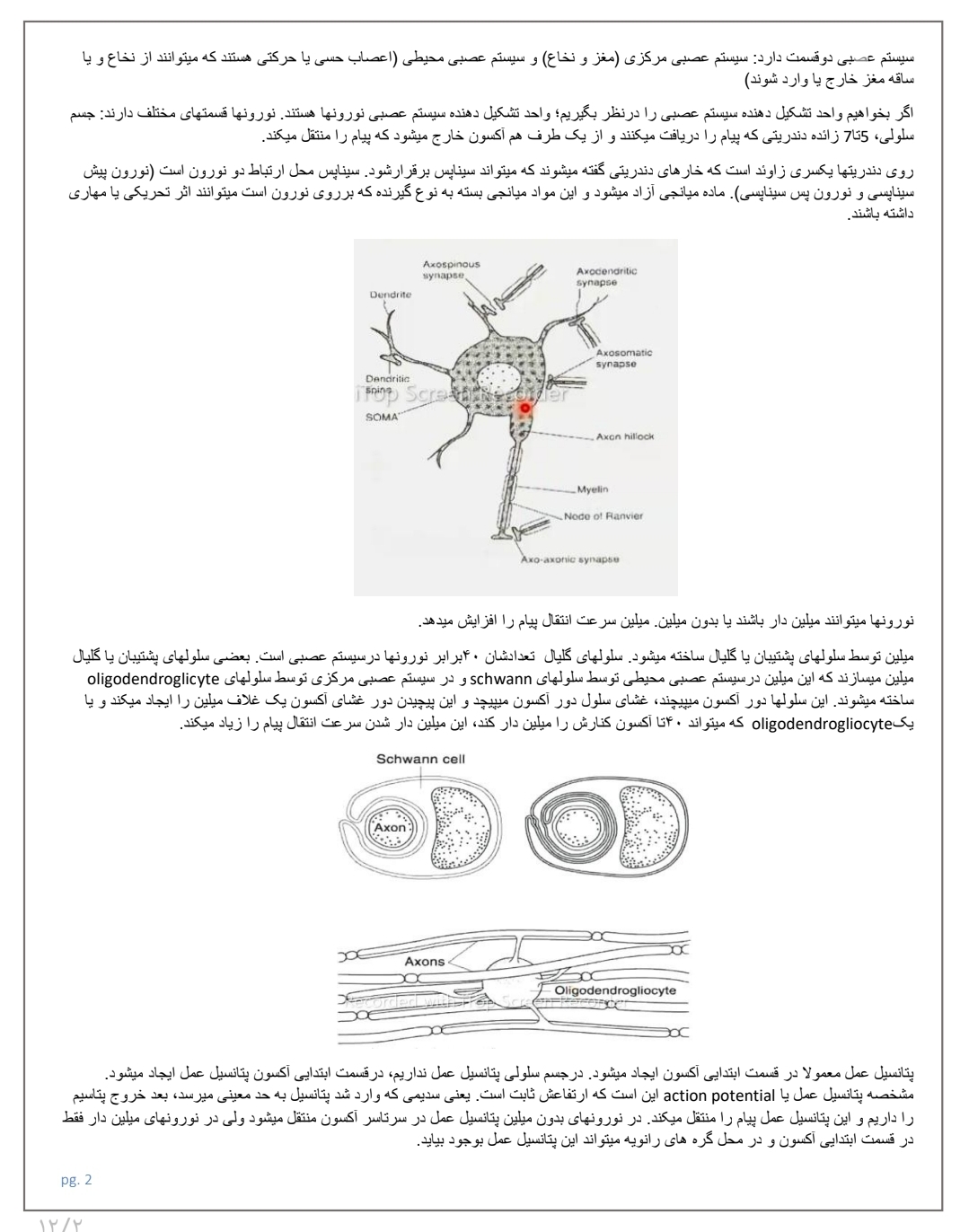 جزوه فیزیولوژی اعصاب