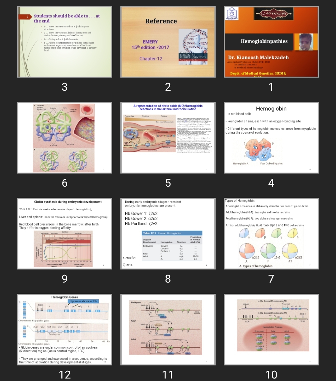 پاورپوینت Hemoglobinpathies