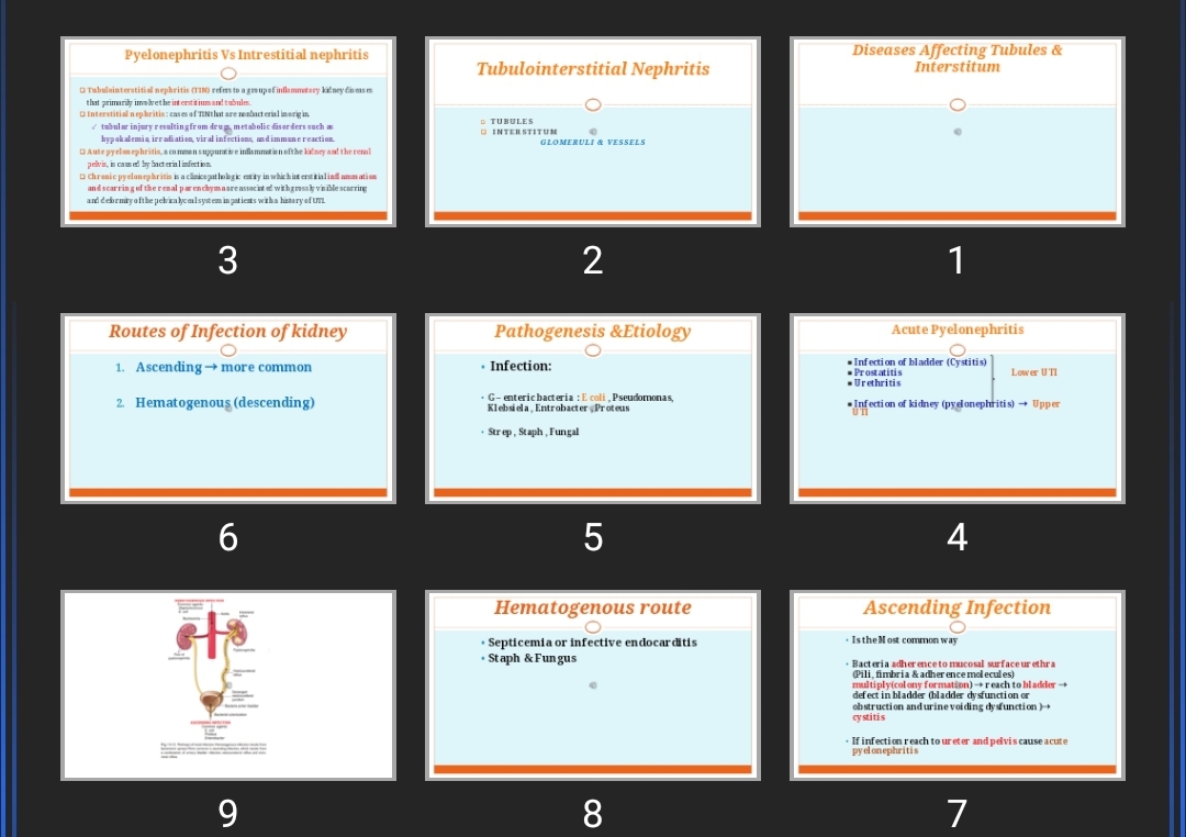 پاورپوینت Diseases Affecting Tubules & Interstitum