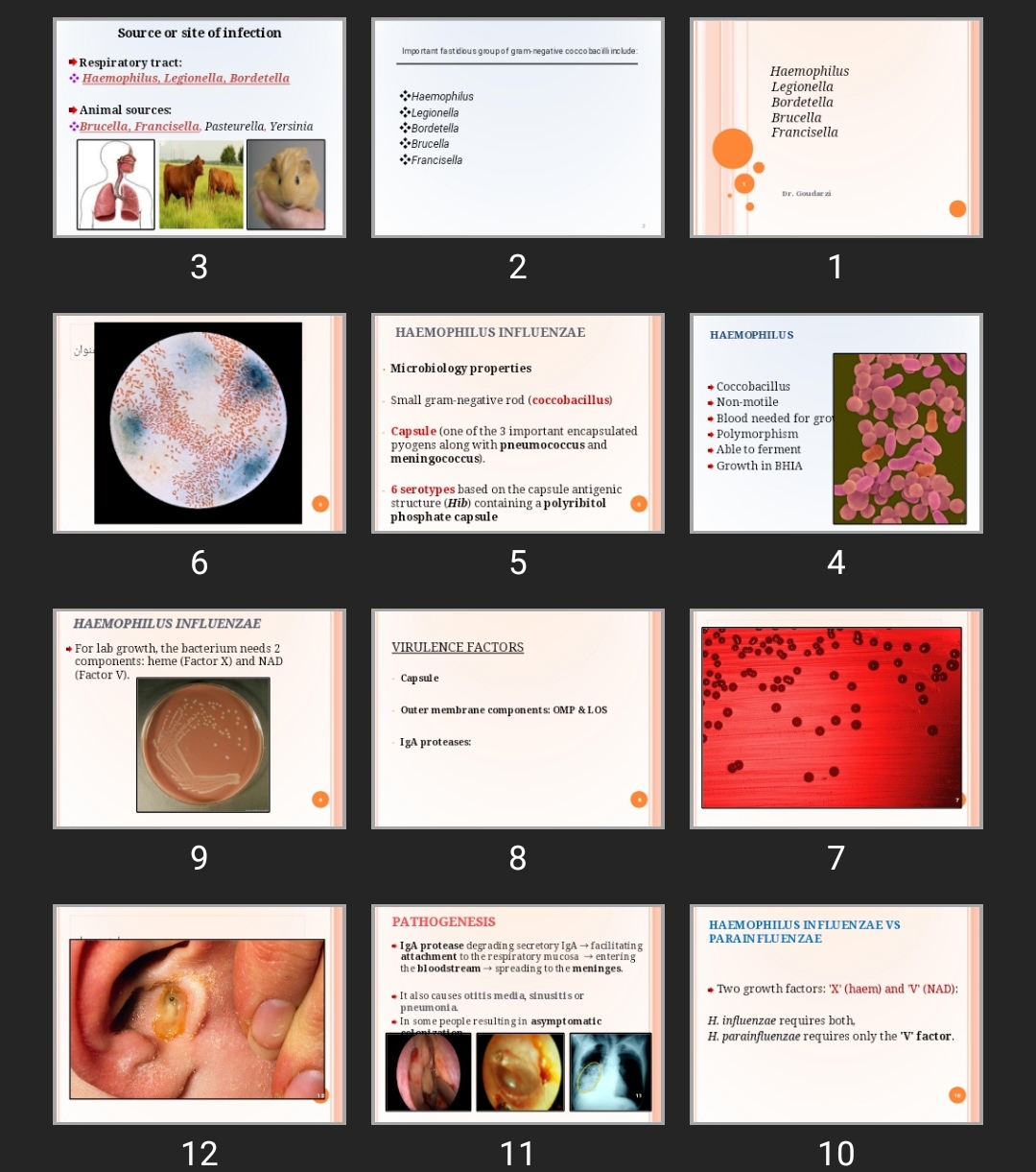 پاورپوینت کودک Haemophilus Legionella Bordetella Brucella Francisella