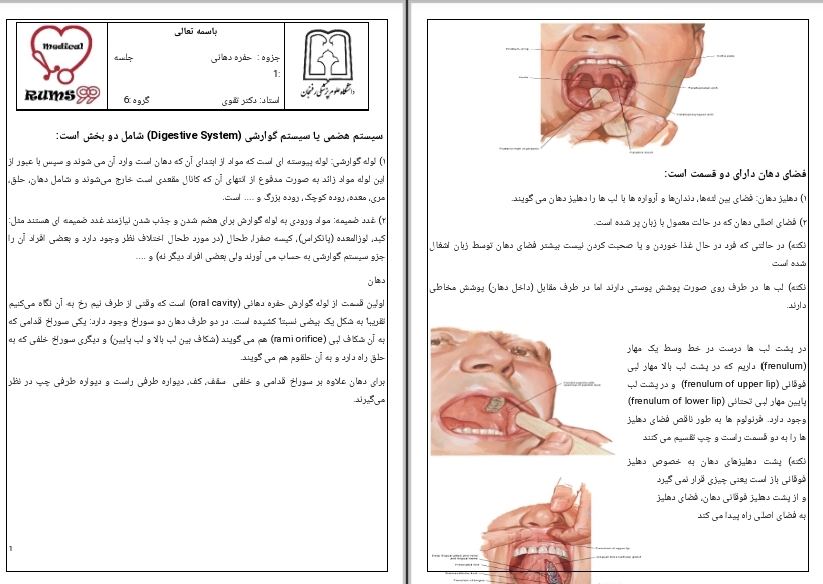 جزوه حفره دهانی