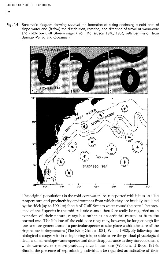 بیولوژی اعماق اقیانوس. زندگی موجودات کف دریا (زبان انگلیسی)