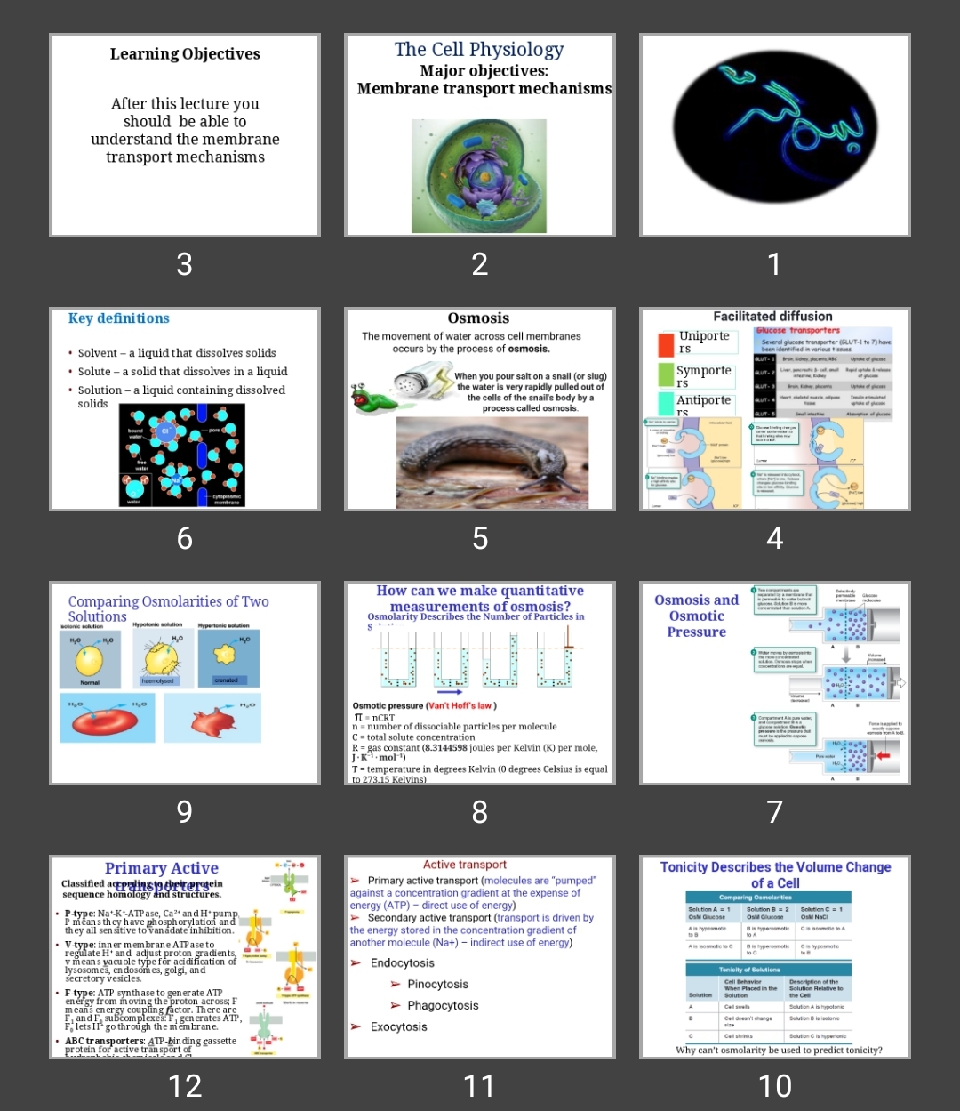 پاورپوینت The Cell Physiology