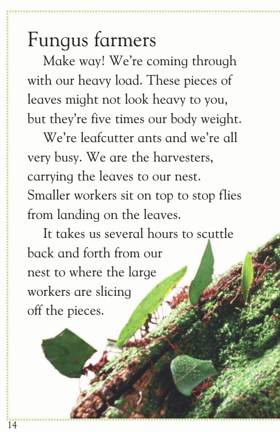 دانلود کتاب انگیسی مورچه های عجیب