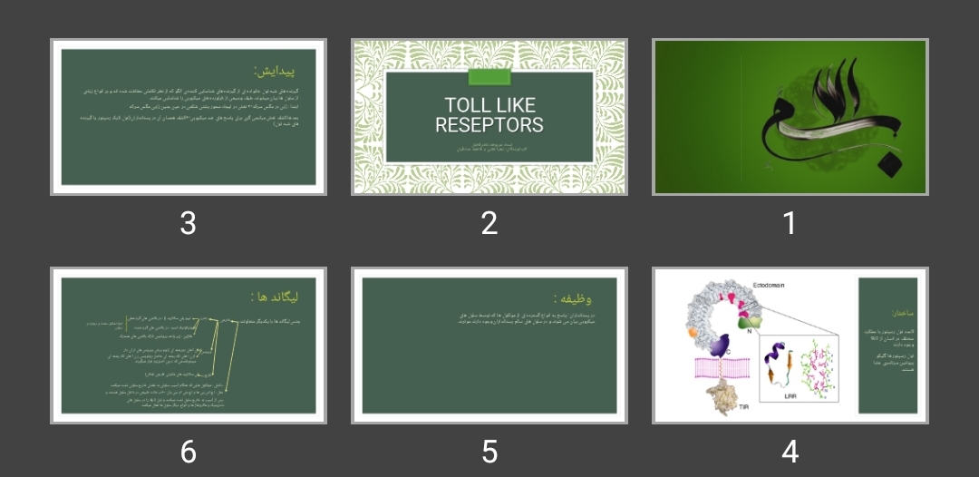 پاورپوینت TOLL LIKE RESEPTORS