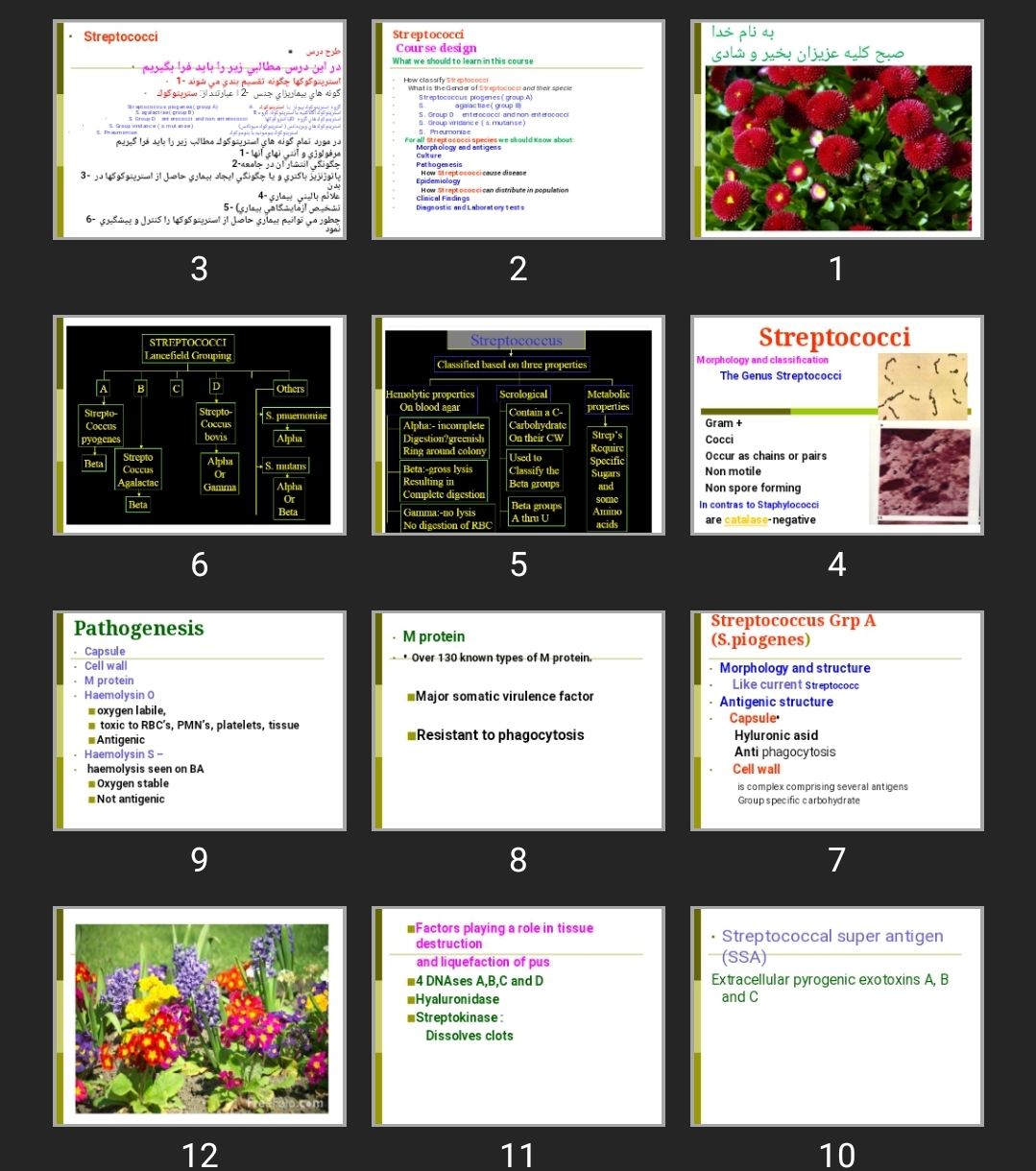 پاورپوینت Streptococci