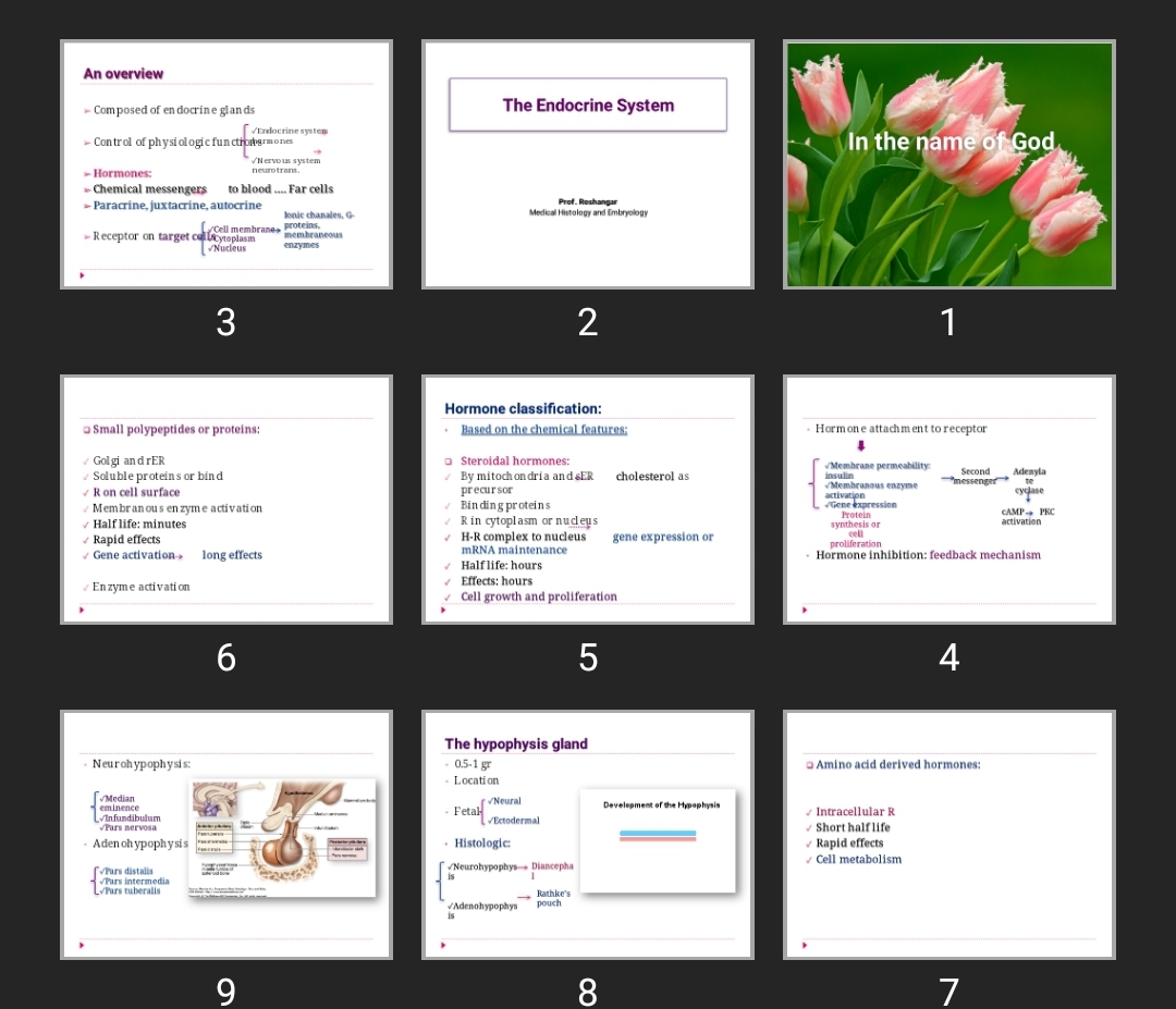 پاورپوینت The Endocrine System