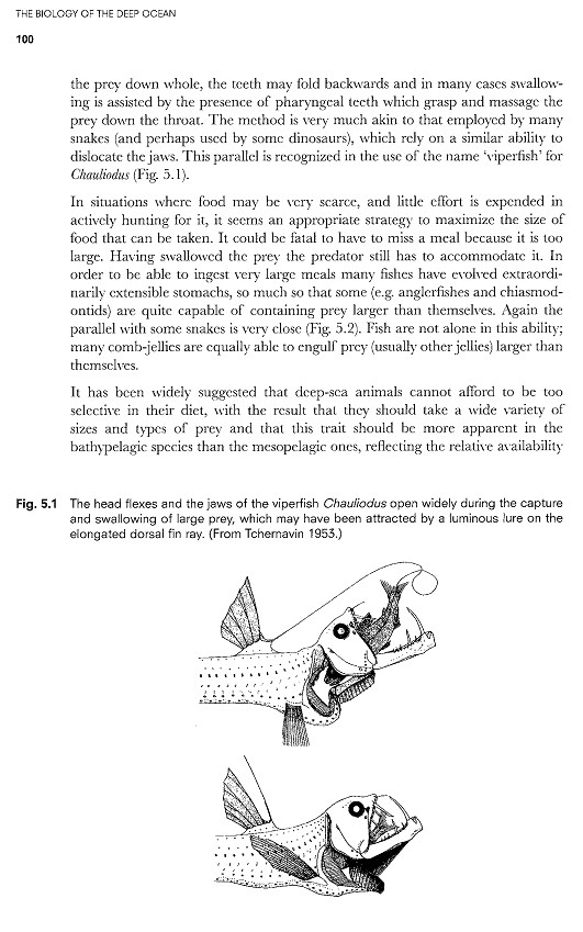بیولوژی اعماق اقیانوس. زندگی موجودات کف دریا (زبان انگلیسی)