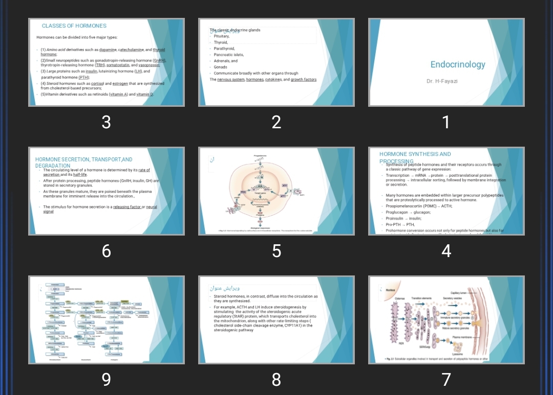 پاورپوینت Endocrinology