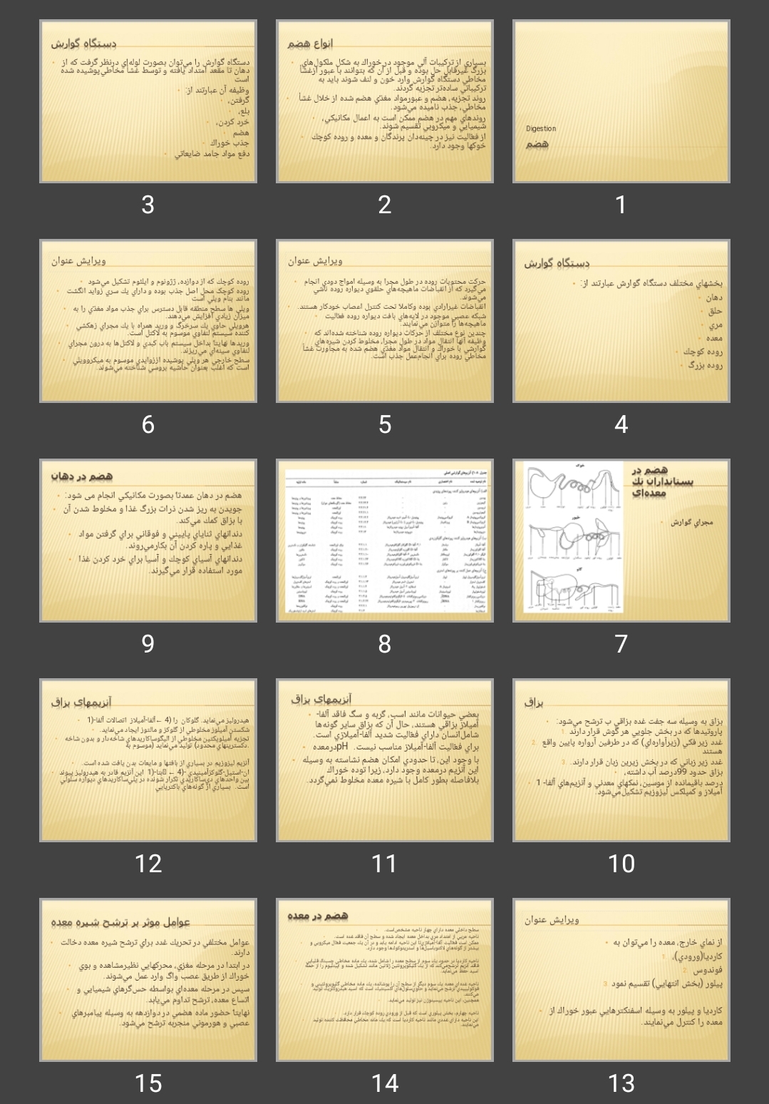 پاورپوینت هضم Digestion
