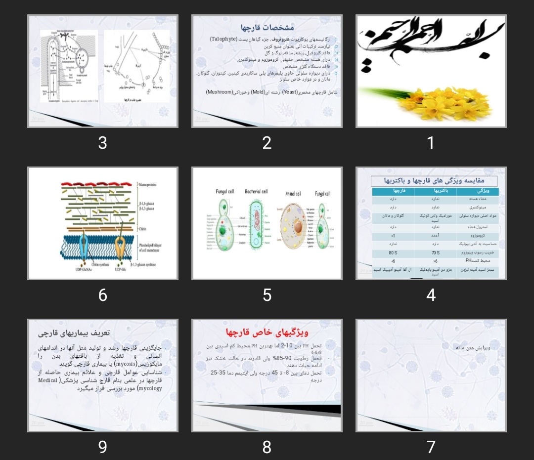 پاورپوینت قارچ شناسی