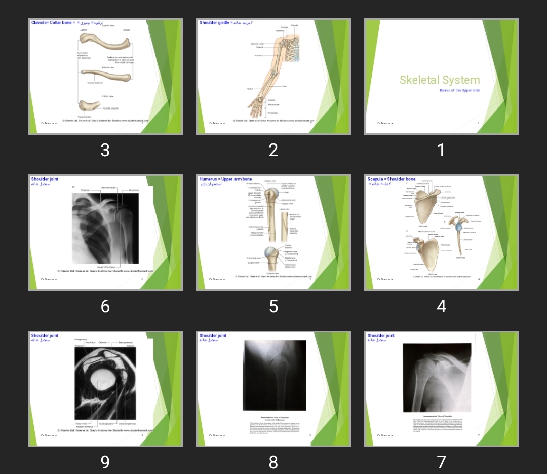 پاورپوینت Skeletal System