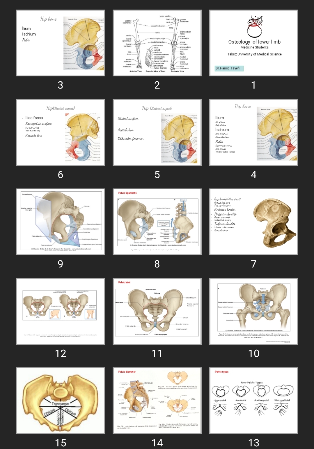پاورپوینت Osteology of lower limb