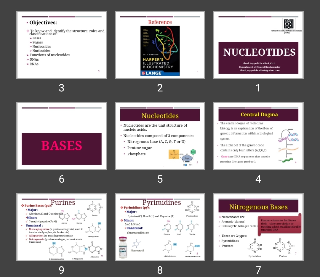پاورپوینت nucleotides