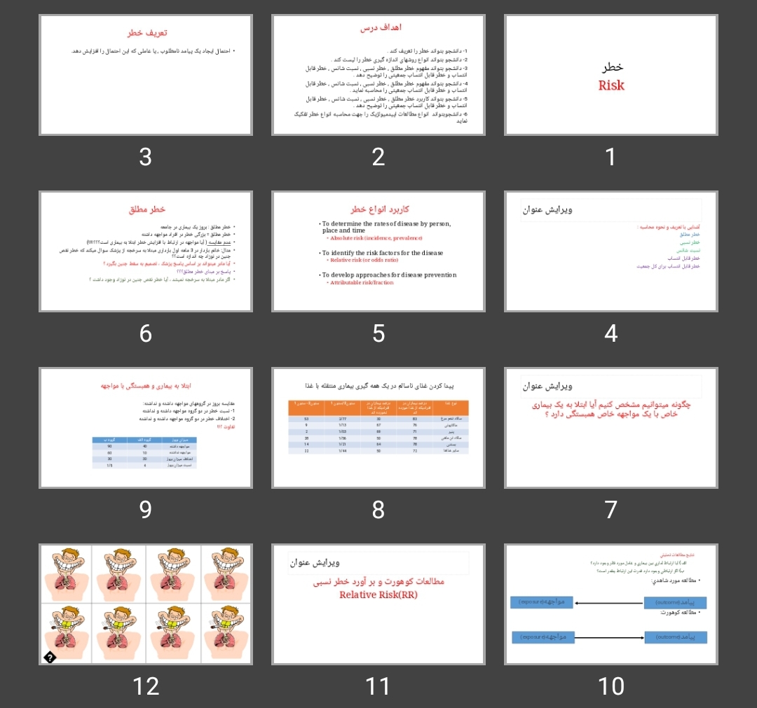 پاورپوینت خطر Risk