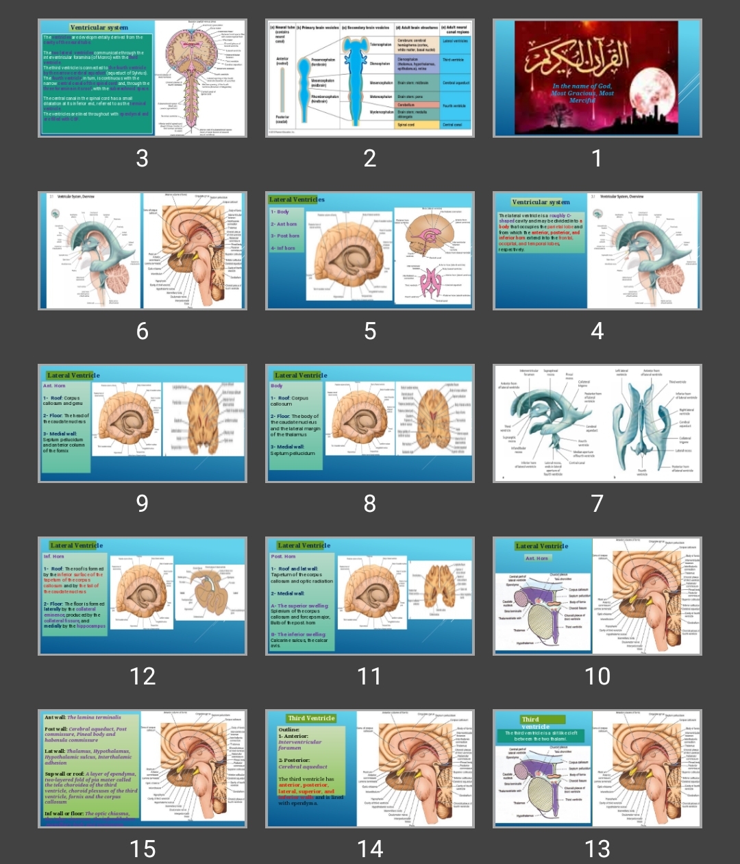 پاورپوینت Ventricular system