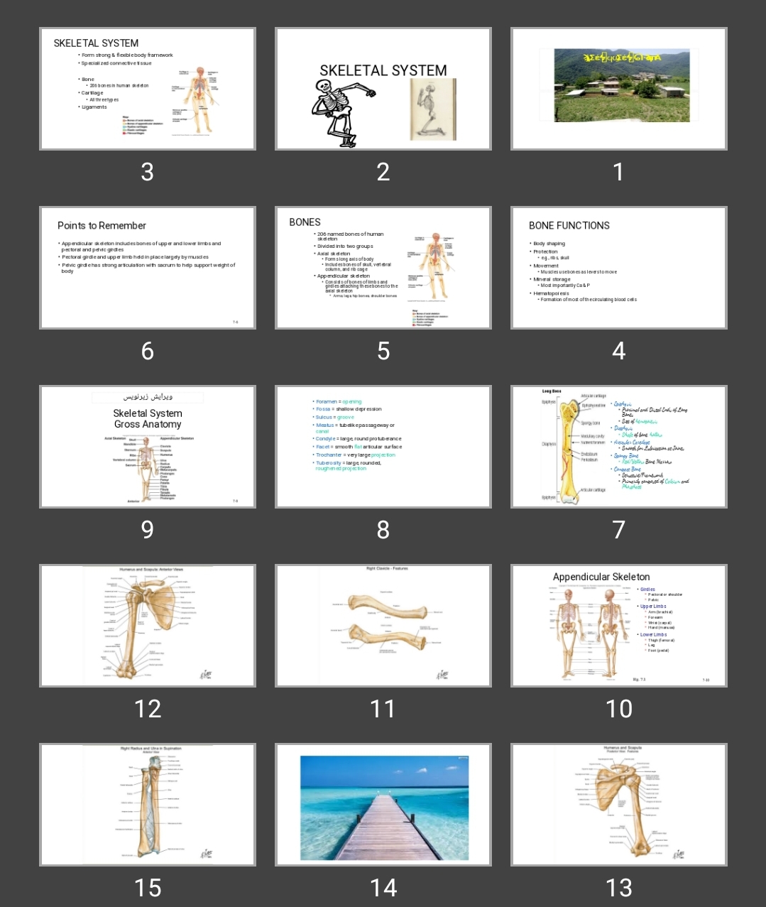 پاورپوینت SKELETAL SYSTEM