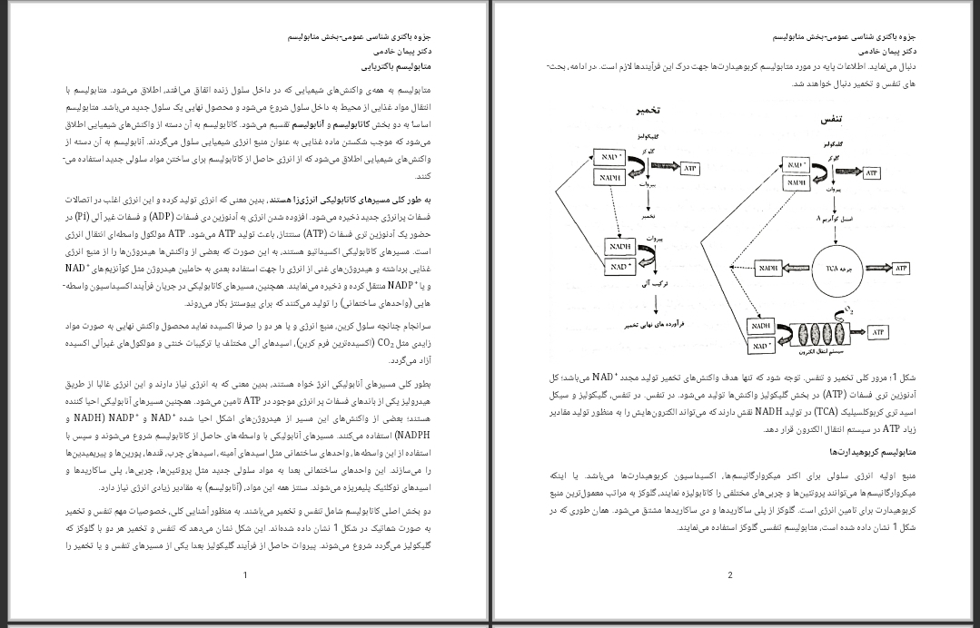 جزوه متابولیسم باکتریایی