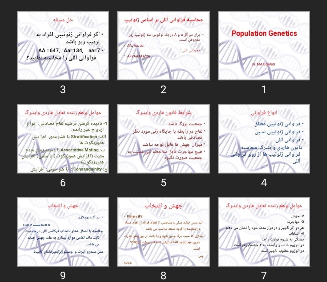 پاورپوینت Population Genetics