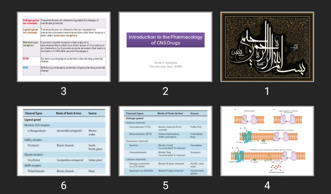 پاورپوینت Introduction to the Pharmacology of CNS Drugs